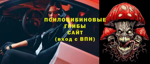 ГАЛЛЮЦИНОГЕННЫЕ ГРИБЫ Белокуриха